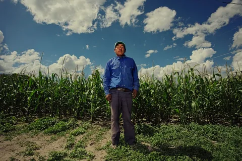 Campesino de pie frente a un maizal bajo un cielo azul en México