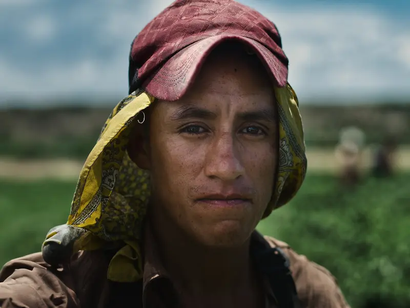 Woman in a red headscarf in the fields, documentary still