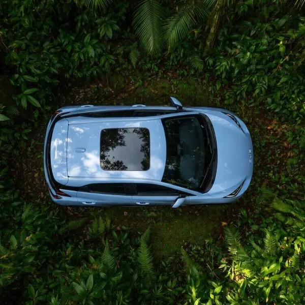 Toma aérea con drone de un auto en la selva